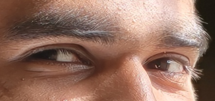Misbah — Eye